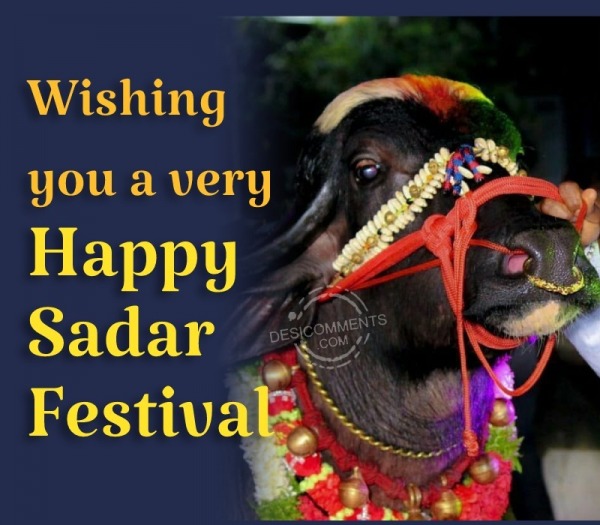 Sadar Festival
