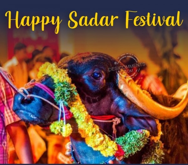 Happy Sadar Festival