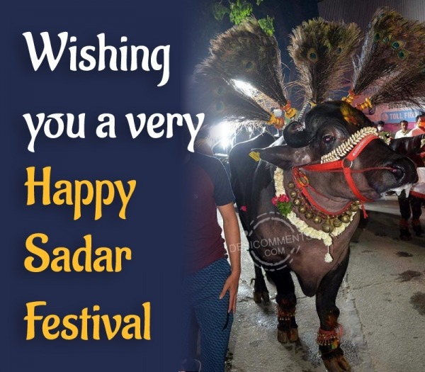 A Very Happy Sadar Festival