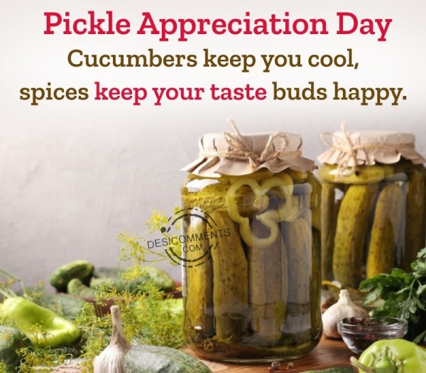 Best Pickle Appreciation Day Pic