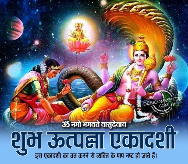 Happy Utpanna Ekadashi