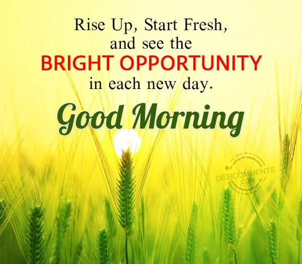 Good Morning, Rise Up, Start Fresh