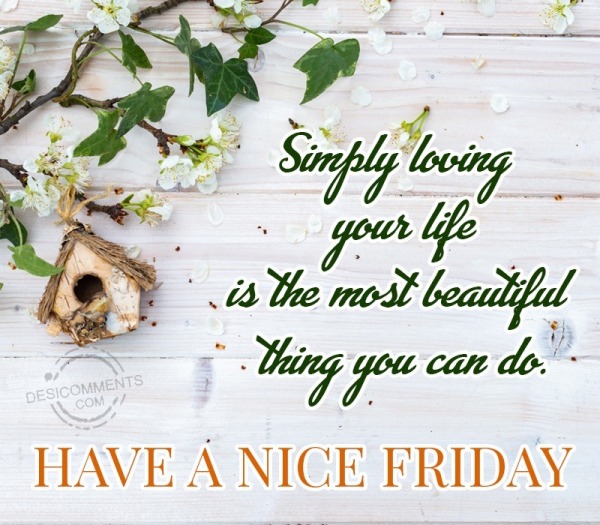 Have A Nice Friday