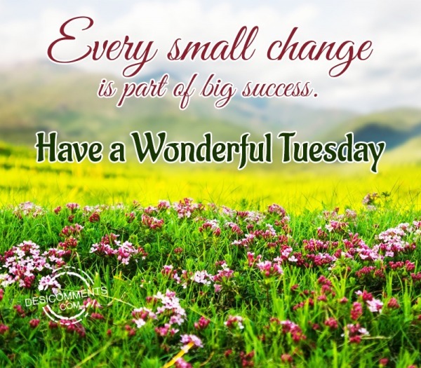 Have A Wonderful Tuesday