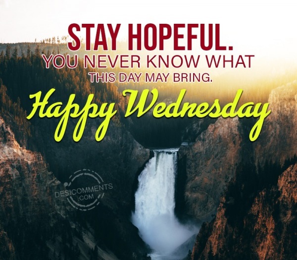 Happy Wednesday, Stay Hopeful