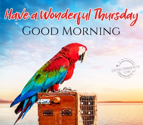 Have A Wonderful Thursday, Good Morning