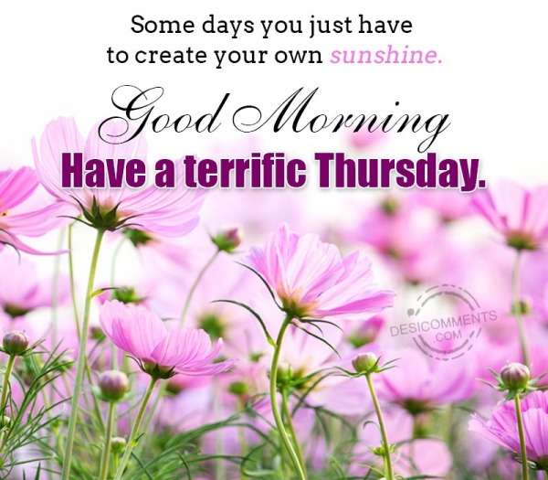 Have A Terrific Thursday
