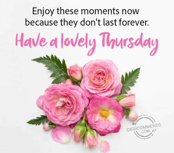 Have A Lovely Thursday