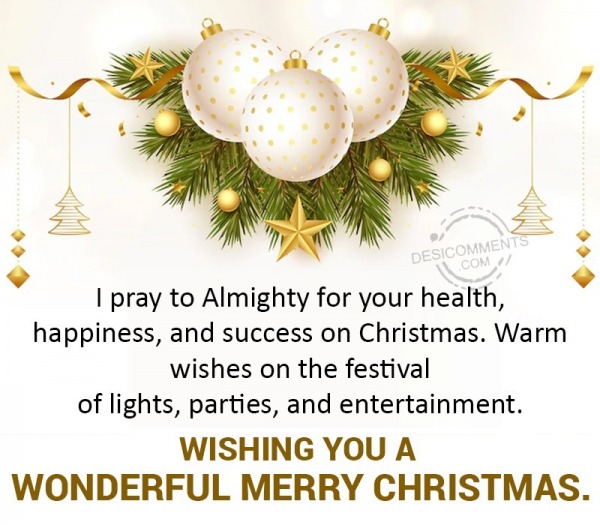 Wishing You A Wonderful Merry Christmas