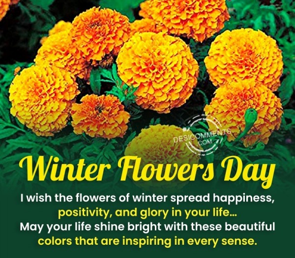 Winter Flowers Day Pic
