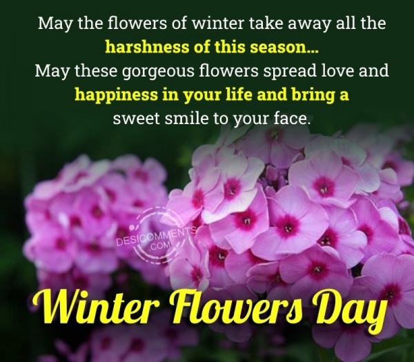Winter Flowers Day Image