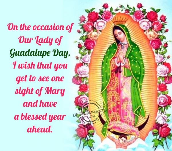 Our Lady of Guadalupe Day Pic