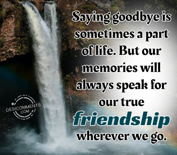 Saying Goodbye Is Sometimes A Part Of Life