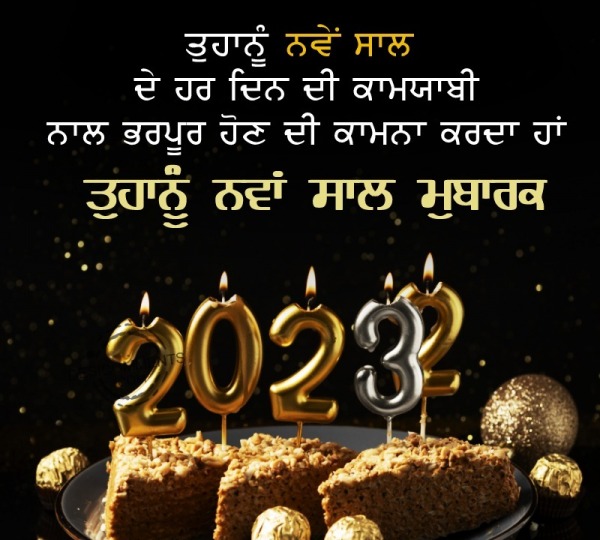 New Year Punjabi Wish Photo