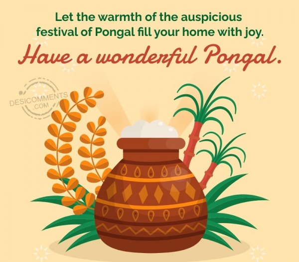 Let The Warmth Of The Auspicious Festival Of Pongal