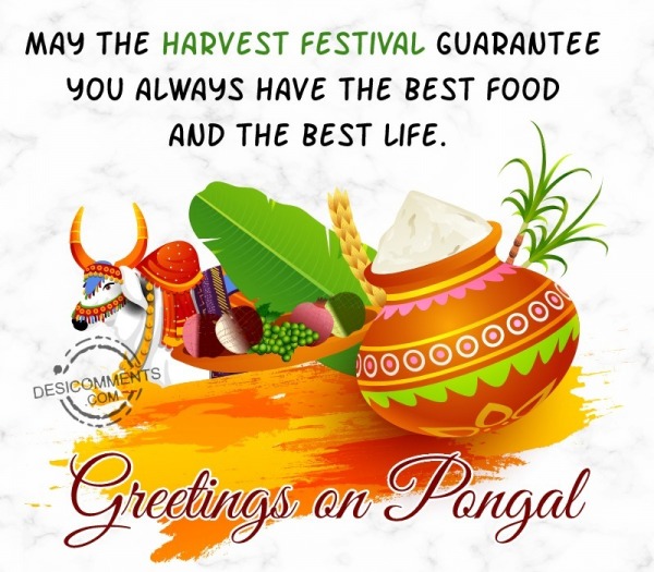 May The Harvest Festival Guarantee