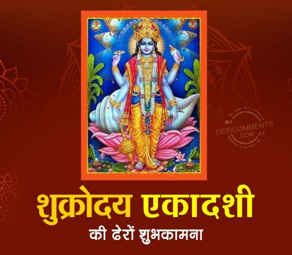 Shukrodaya Ekadashi Ki Dhero Shubhkamna