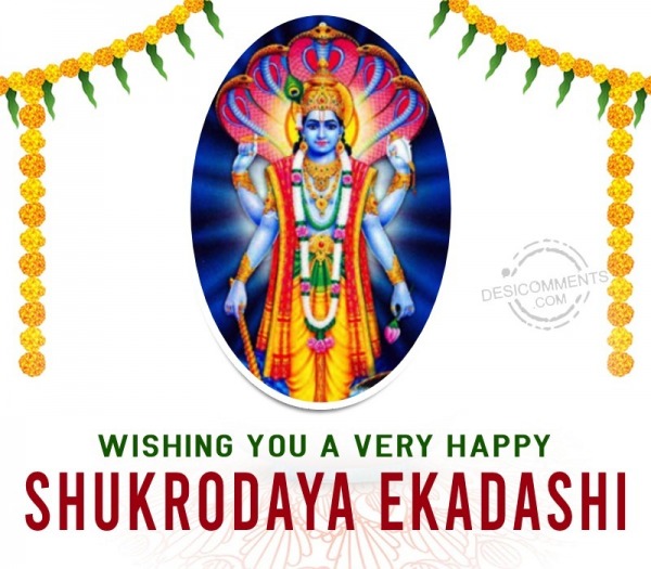 Wish You A Very Happy Shukrodaya Ekadashi