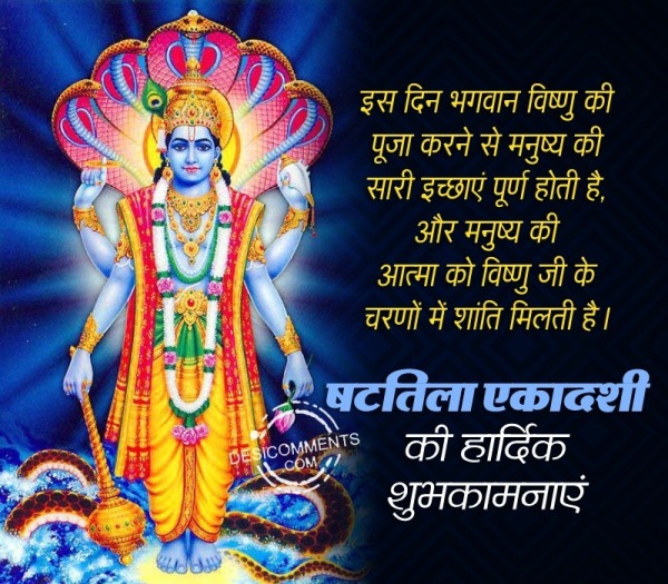 Shattila Ekadashi Hindi Message Picture