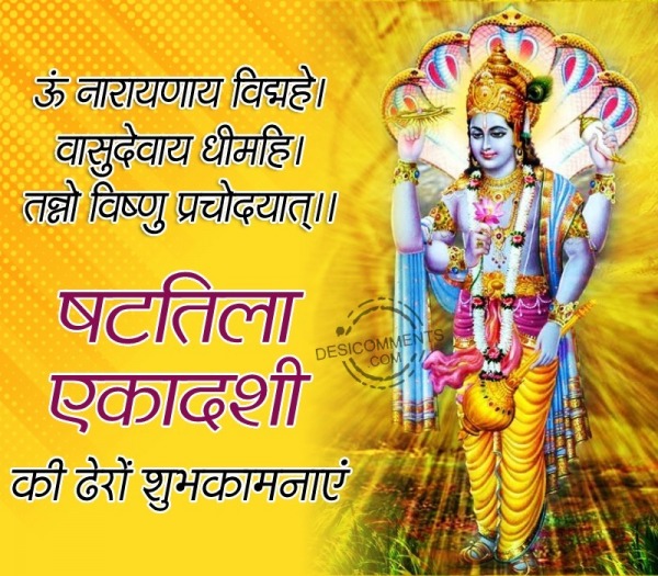 Shattila Ekadashi Hindi Wish Image