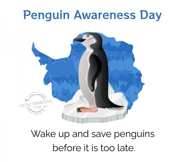 Wake Up And Save Penguins Before It Is Too Late