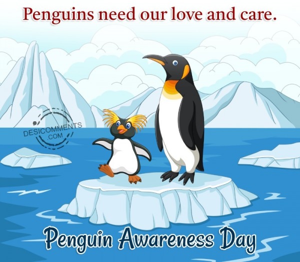 Penguins Need Our Love And Care