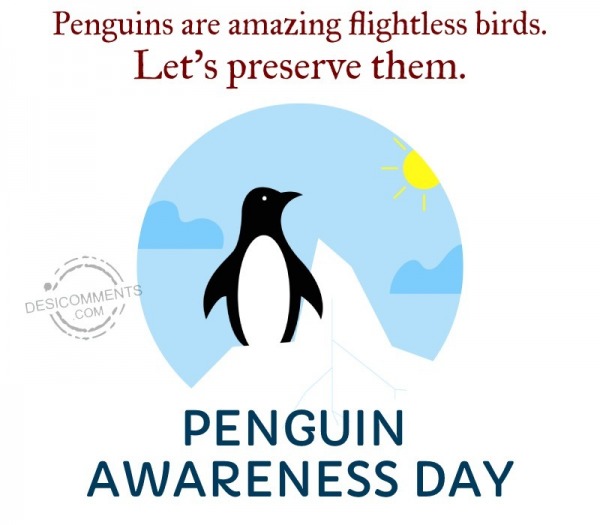 Penguins Are Amazing Flightless Birds