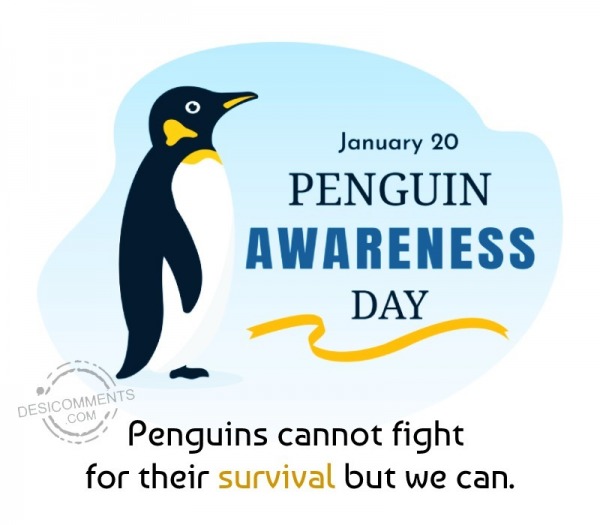 Penguins Cannot Fight For Their Survival But We Can