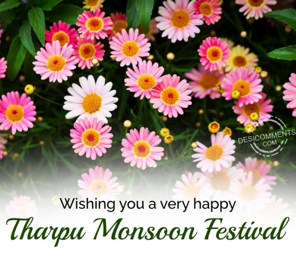 Happy Tharpu Monsoon Festival Photo