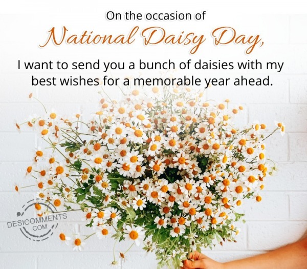 On The Occasion Of National Daisy Day,