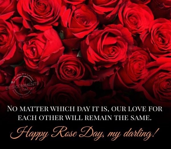 Happy Rose Day, My Darling