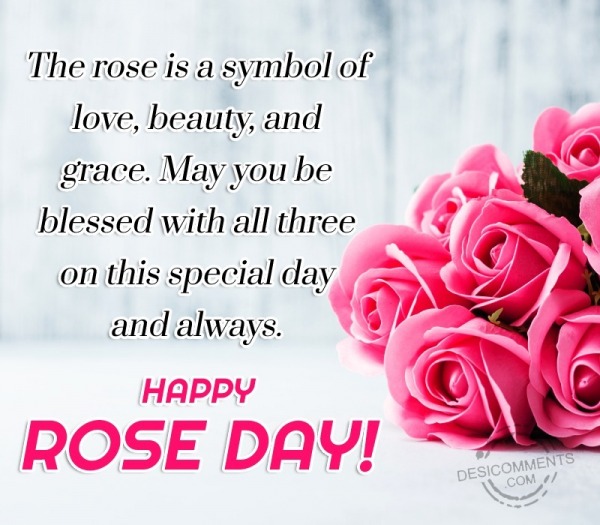 The Rose Is A Symbol Of Love, Beauty,