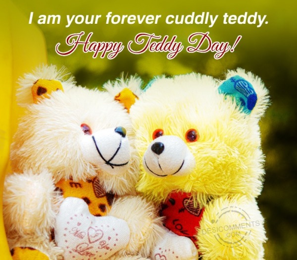 I Am Your Forever Cuddly Teddy. Happy Teddy Day