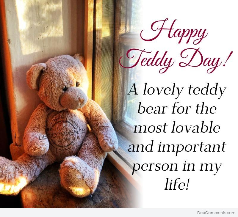 170+ Teddy Bear Day Images, Pictures, Photos