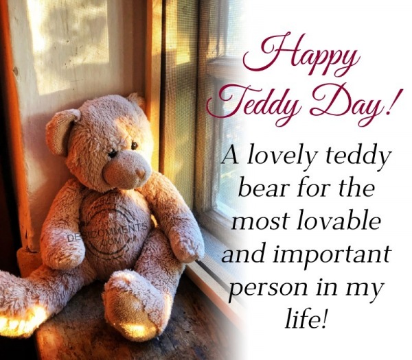 A Lovely Teddy Bear For The Most Lovable