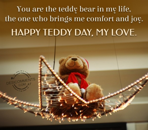 You Are The Teddy Bear In My Life, The One Who