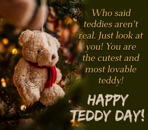 You Are The Cutest And Most Lovable Teddy! Happy Teddy Day