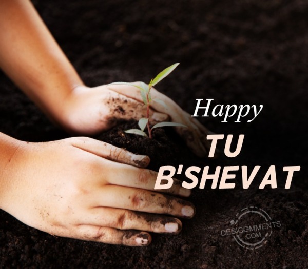 Happy Tu B’Shevat