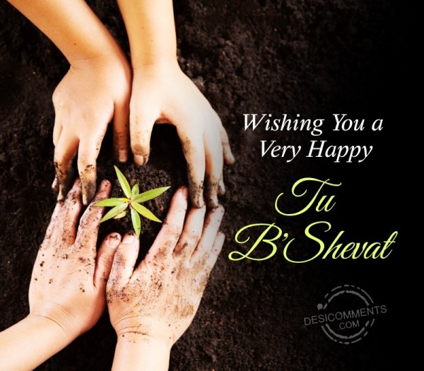 A Very Happy Tu B’Shevat