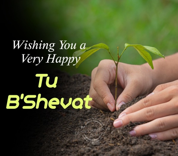 Wishing You A Very Happy Tu B’Shevat Pic