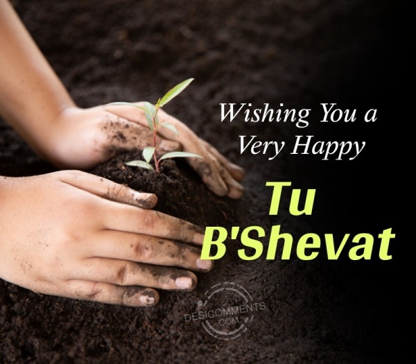 Wishing You A Very Happy Tu B’Shevat