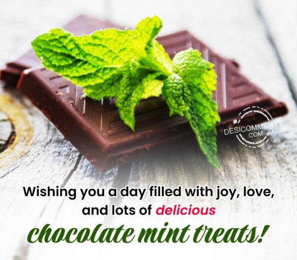 Lots Of Delicious Chocolate Mint Treats