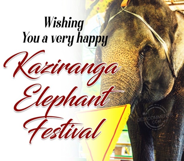 Kaziranga Elephant Festival Image
