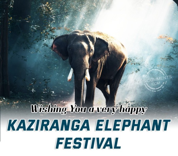 Happy Kaziranga Elephant Festival Photo