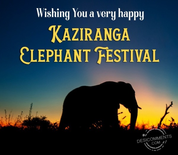 Kaziranga Elephant Festival Pic
