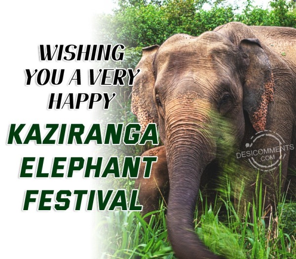 Kaziranga Elephant Festival Picture