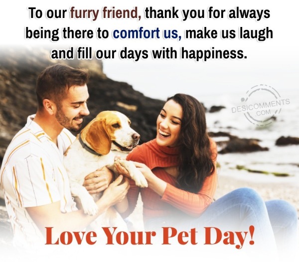 To Our Furry Friend, Thank You For Always Being