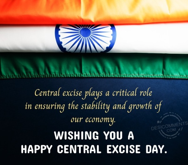 Central Excise Plays A Critical Role In Ensuring