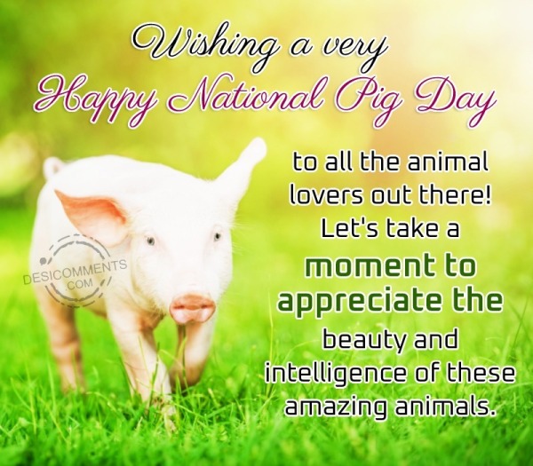 Wishing A Very Happy National Pig Day To All The Animal