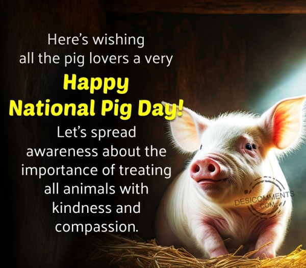 Here's Wishing All The Pig Lovers A Very Happy National Pig Day